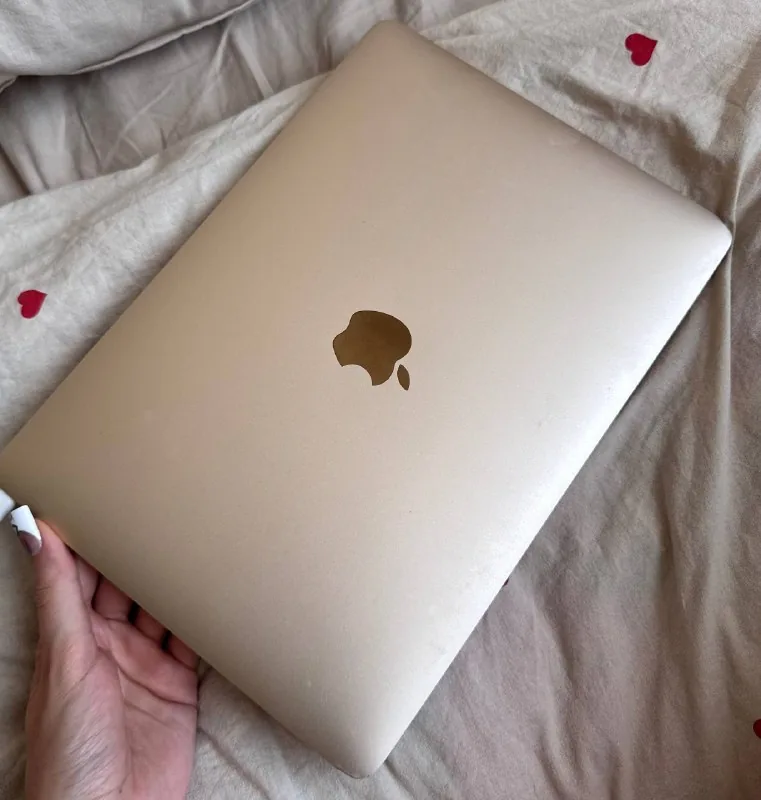 MacBook Retina 12 2017 1