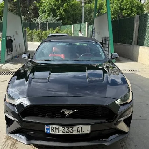 Ford Mustang 2019 Premium