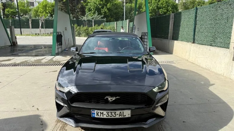 Ford Mustang 2019 Premium 1