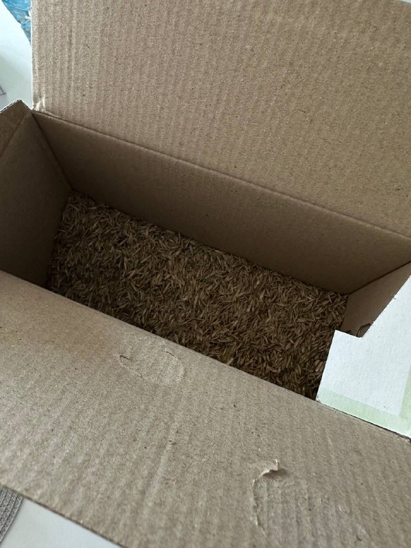 Большой зонт, газонная трава 5