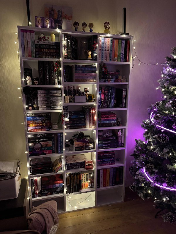 книжный стеллаж