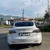 Tesla Model 3 2