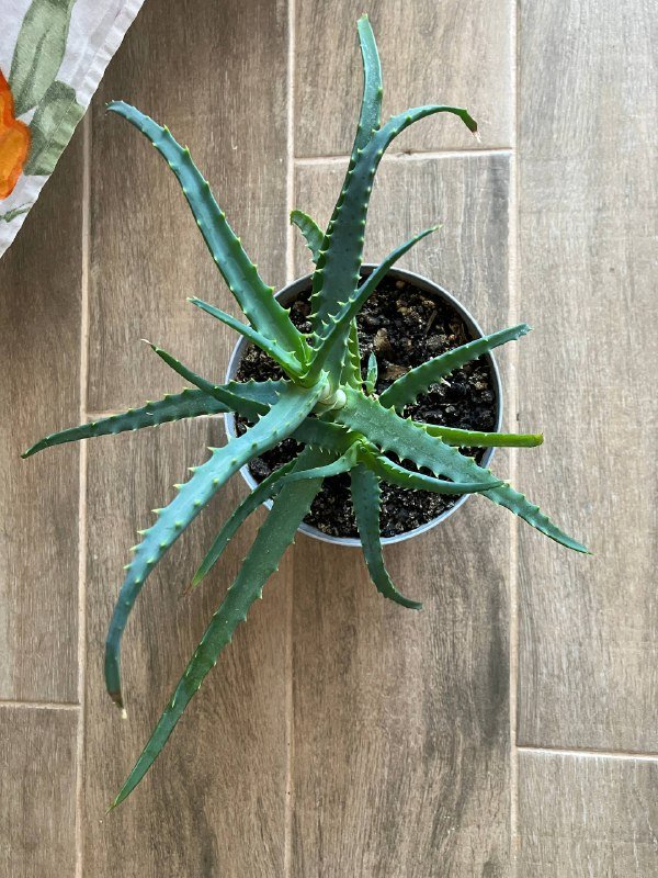 Рюкзак 40х29х15 7