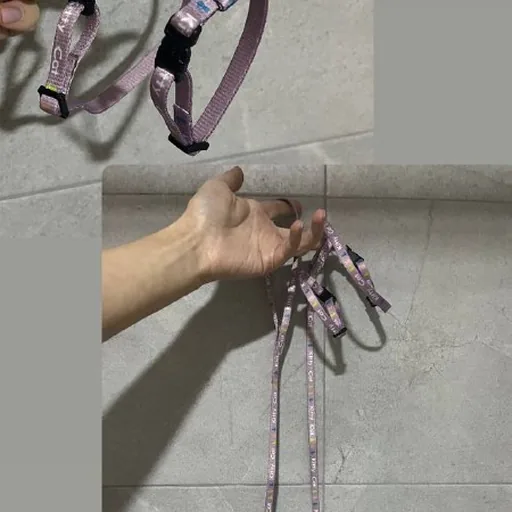 Шлейка для котенка