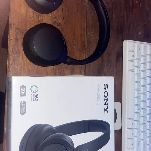 Sony WH-CH520 headphones
