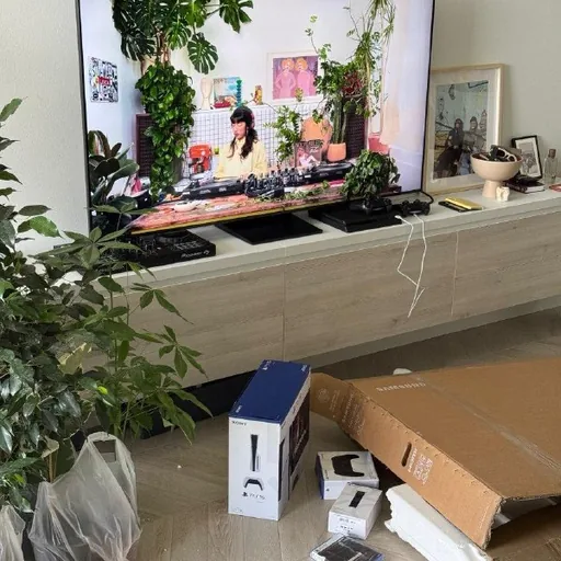 Samsung Neo QLED 65" TV