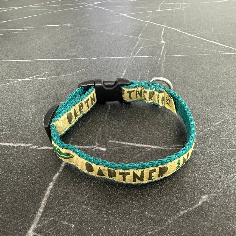 Ошейник Шарик DRAMA KING, Ошейник Шарик PARTNER IN CRIME, Шлейка Шарик TRAVELER, Поводок-перетяжка, Комбинезон/Дождевик 2