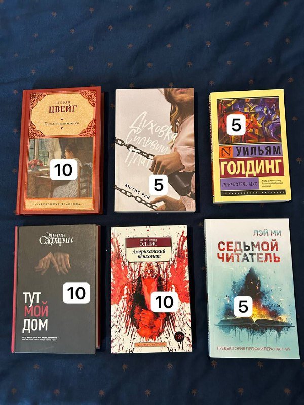 Игра на PlayStation5 Alan Wake 2, книги Стефан Цвейг, Эльчин Сафарли, Юстис Рей, Брет Эллис, Лэй Ми