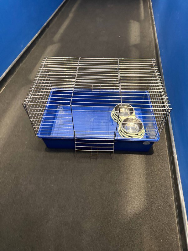 Клетка для морской свинки 3