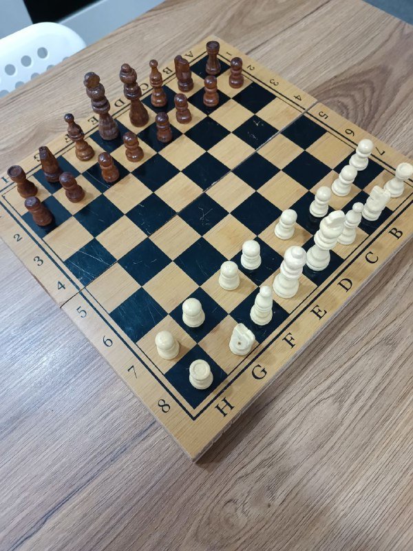Шахматы