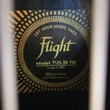 Глюкофон с звукоснимателем, укулеле Flight TUS35, кахон, бубен дождя 3