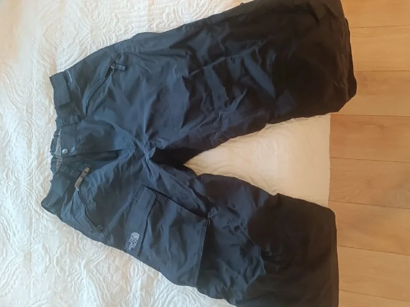 Горнолыжные штаны The North Face 1