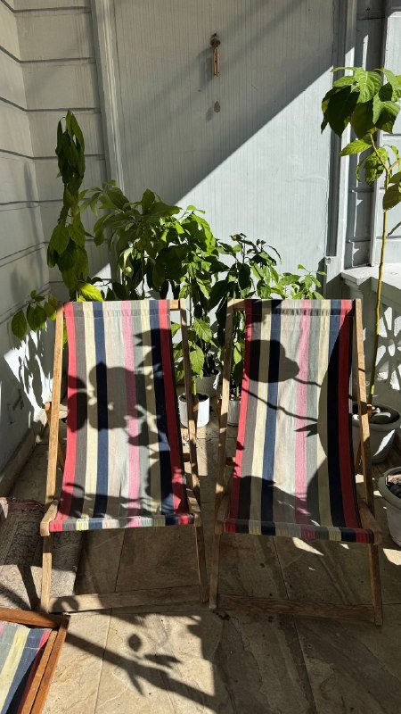 Шезлонги деревянные с текстилем