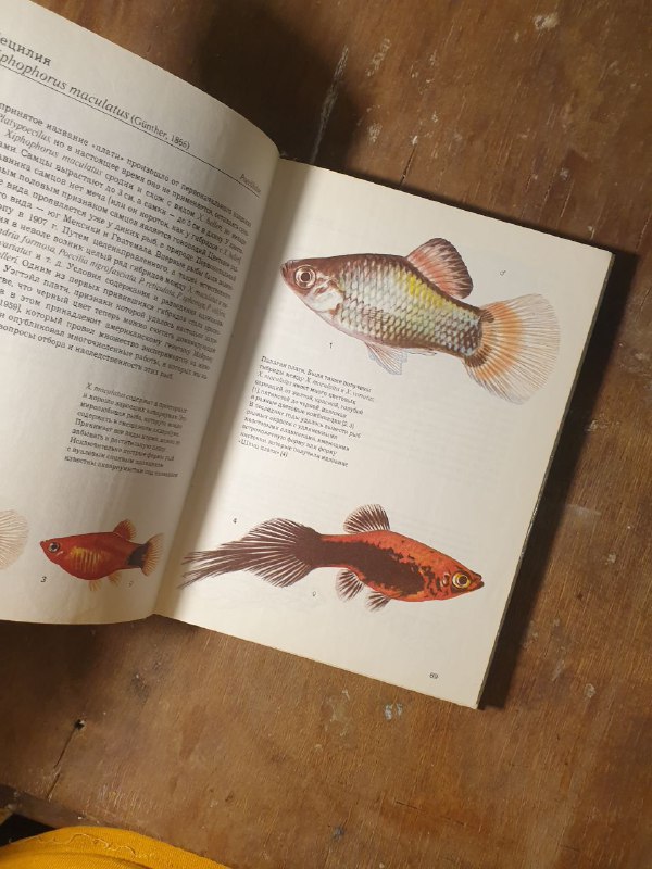 Книги о рыбах, растениях, минералах и консервации овощей 2