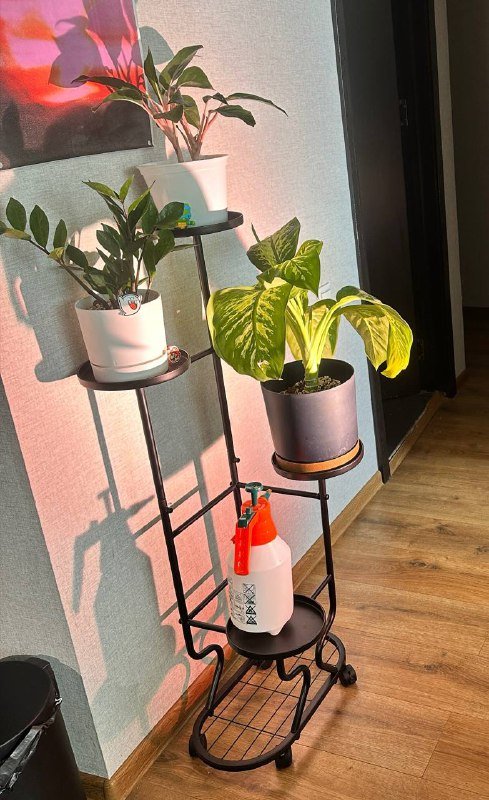 Стойка полка стеллаж для цветов 2