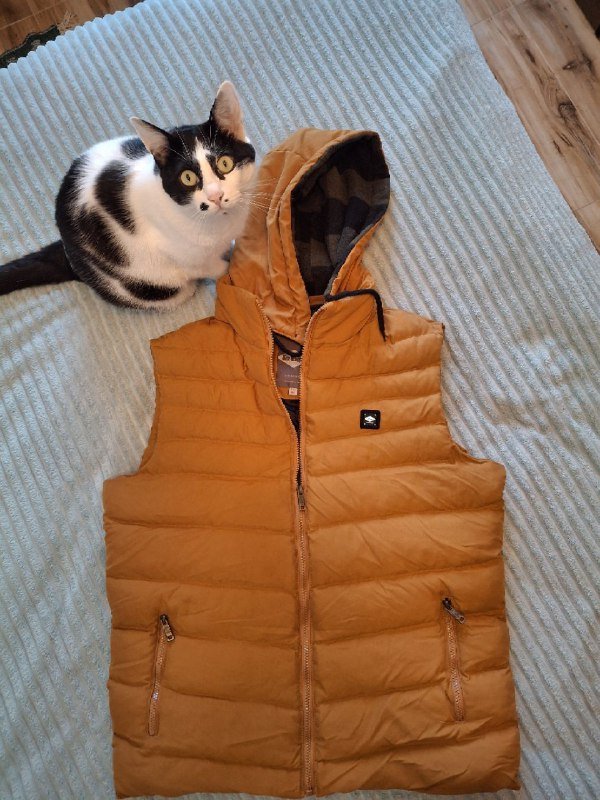 Мужская жилетка, белая футболка, женские горнолыжные штаны