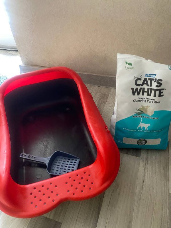 Лоток для кошки, наполнитель, совок