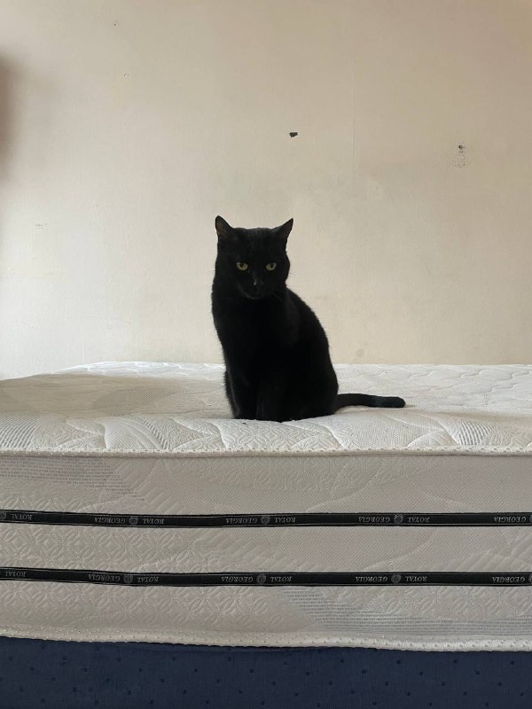 Матрас 160х200, Royal Georgia bio eco 3