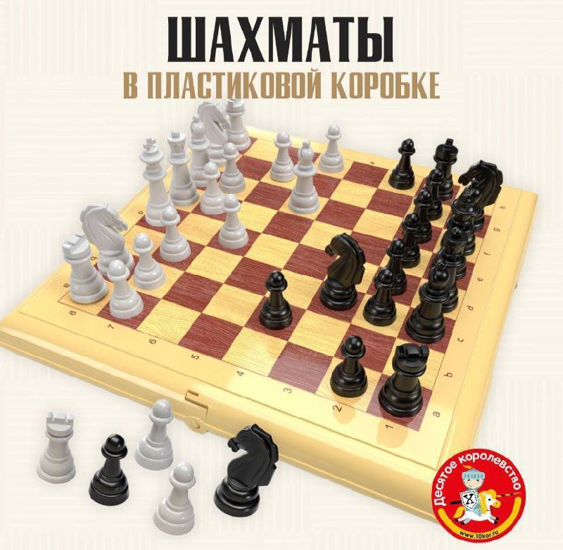 Шахматы в пластиковой коробке 2
