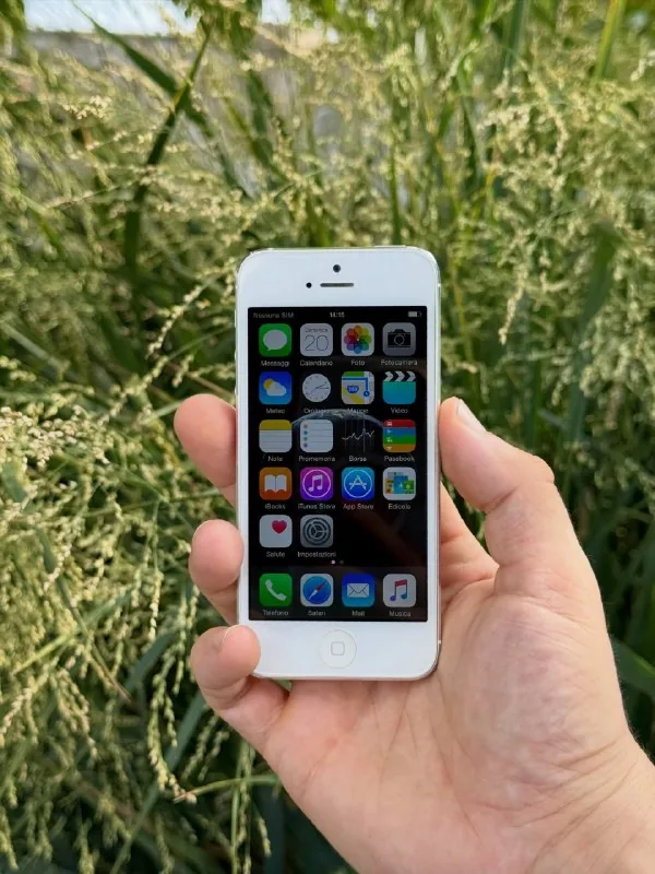 iPhone 5 (Y2K Digicam) 1