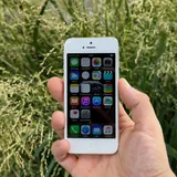 iPhone 5 (Y2K Digicam) 1
