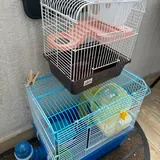Клетки для хомяков 1