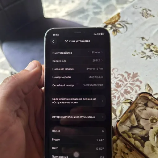 iPhone