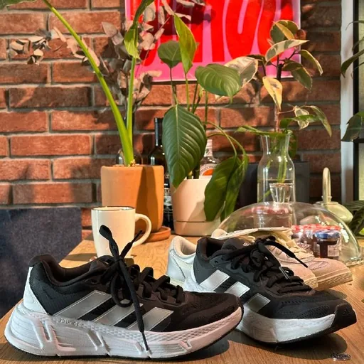 Спортивные кроссовки Adidas