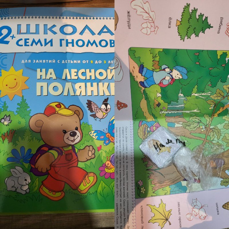 Книги серии Школа семи гномов 2+ с дидактическими материалами 2
