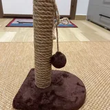 Когтеточка, средства для собак, когтерез, заводная игрушка 2