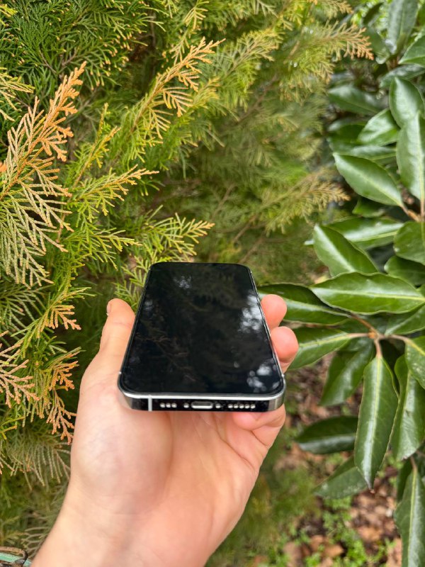 iPhone 13 Pro, АКБ 76 4