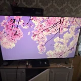 Телевизор TCL C745 55 дюймов 2