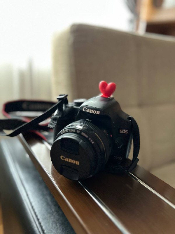 Canon 500D, Canon EF 50mm 1.4 линза