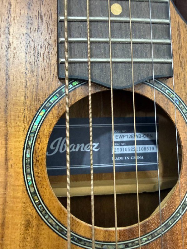Электро акустическая походная гитара Ibanez EWP12EWB-OPN 2