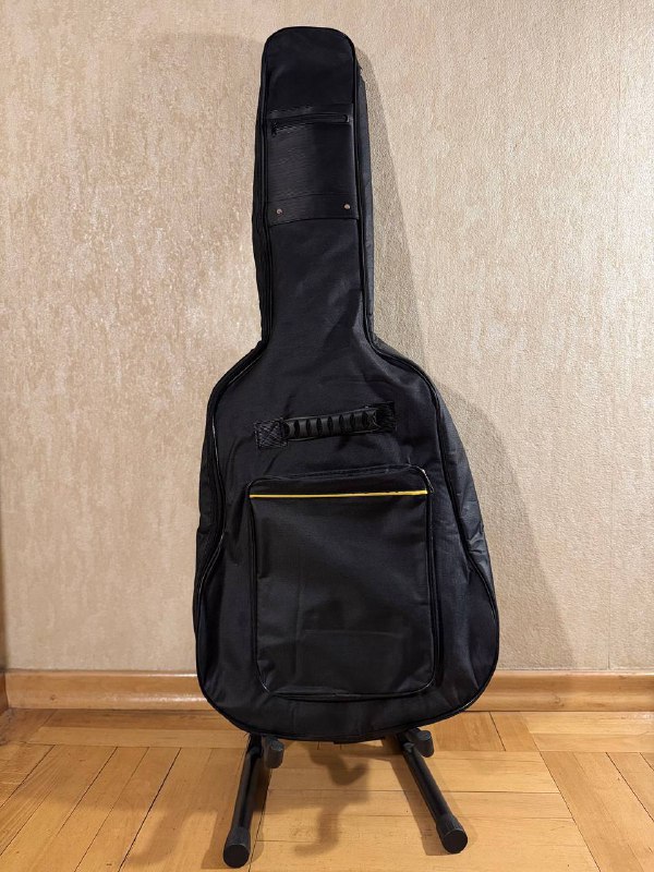 Schecter C-6 Plus guitar with all accessories