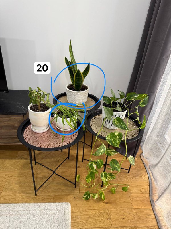 Мебель уличная на веранду - стол и два стула 10