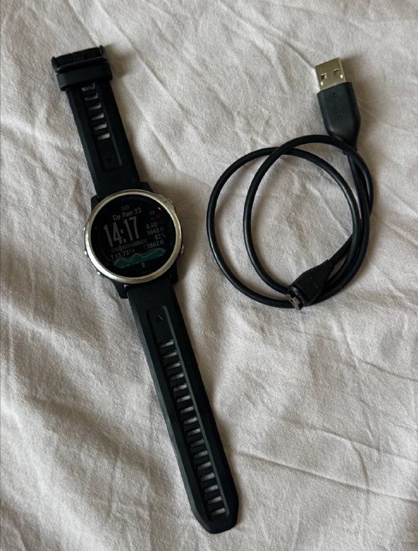 Часы Garmin Fenix 6s