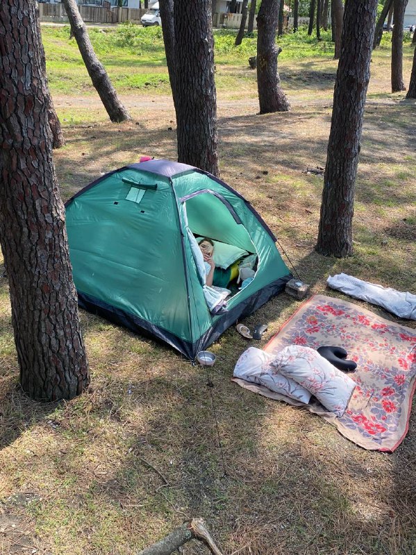 Палатка Camping Outdoor на 4 человека 5
