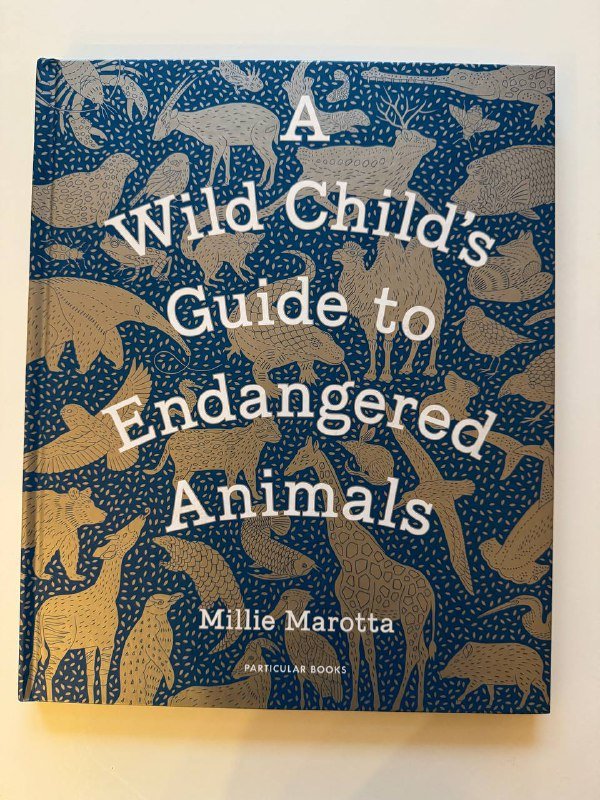 Артбук Junji Ito, Книга про животных для детей на английском 2