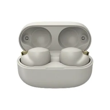 Sony WF-1000XM4 Wireless Earbuds