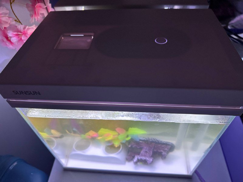 Аквариум с фильтром и рыбками 12 литров