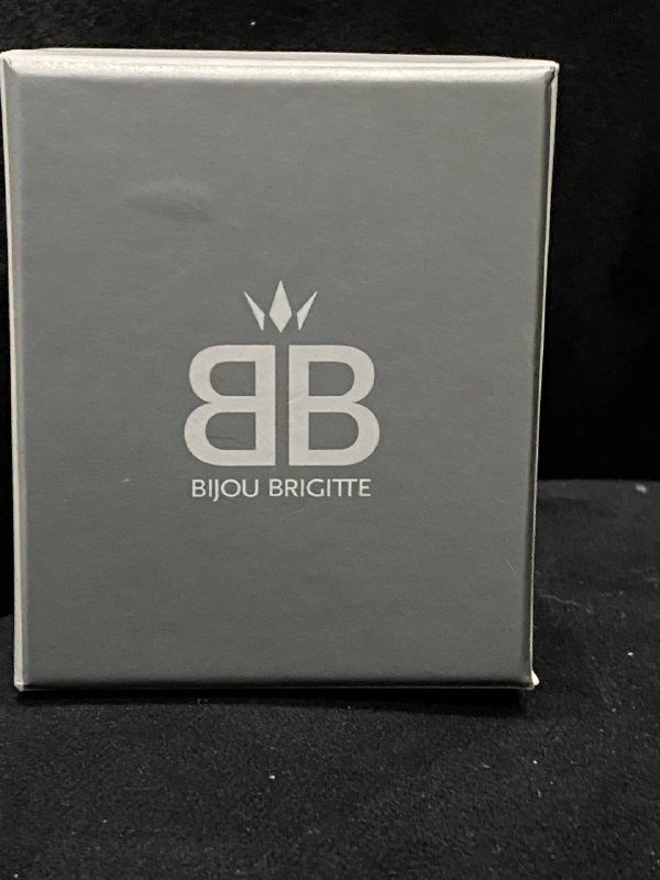 Мужские часы BIJOU BRIGITTE