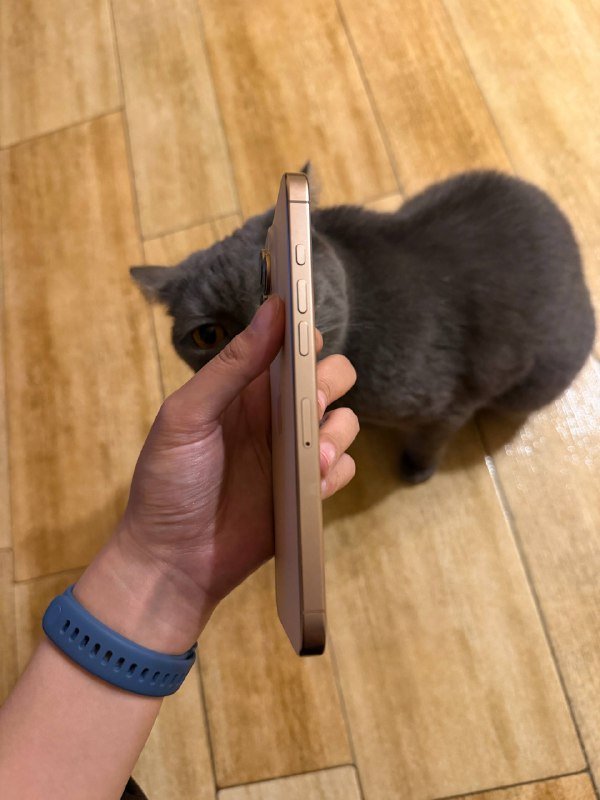 iPhone 16 Pro Max 256 GB 4