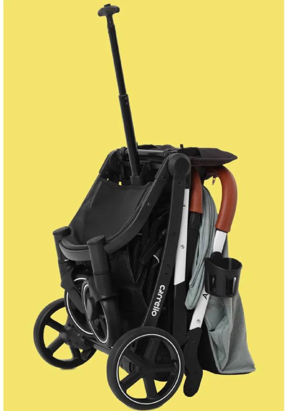 Прогулочная коляска CARRELLO Astra 3