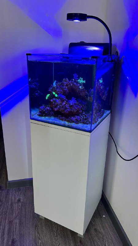 Морской аквариум под ключ с оборудованием и кораллами 2