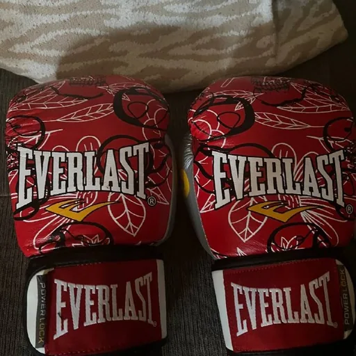 Боксерские перчатки Everlast
