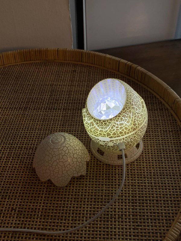 Офисный стул, ковер, лампы, массажер, фотоаппарат, зеркало, цветы в горшках 10