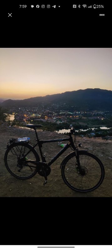 Pegasus bicycle 2