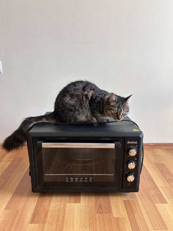 Электропечь с формами