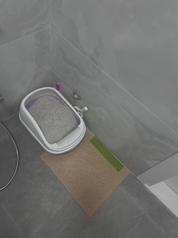 Контейнер для корма питомцев 6 литров с совочком 2